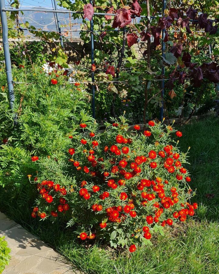 Garden Guest House Përmet Buitenkant foto